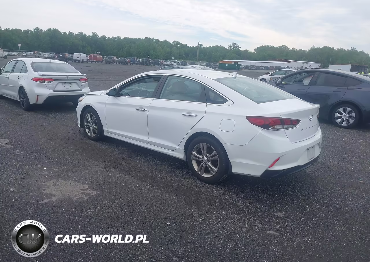 2019 Hyundai Sonata Sel VIN:5NPE34AF3KH810140 - 3