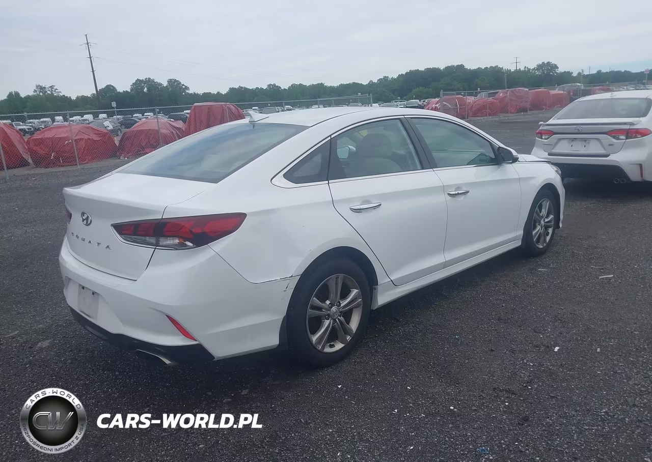 2019 Hyundai Sonata Sel VIN:5NPE34AF3KH810140 - 4