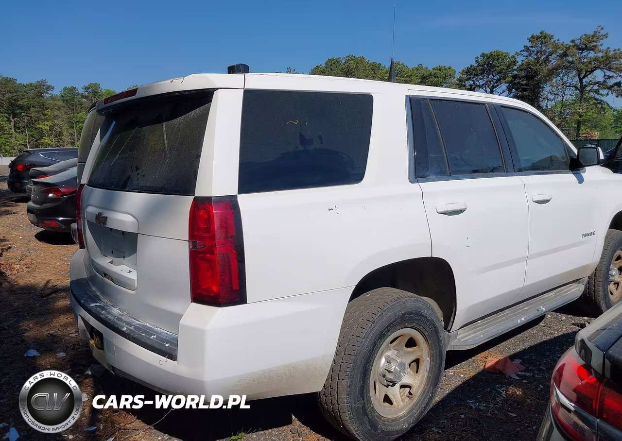 2017 Chevrolet Tahoe Commercial Fleet VIN:1GNSKEECXHR309671 - 4