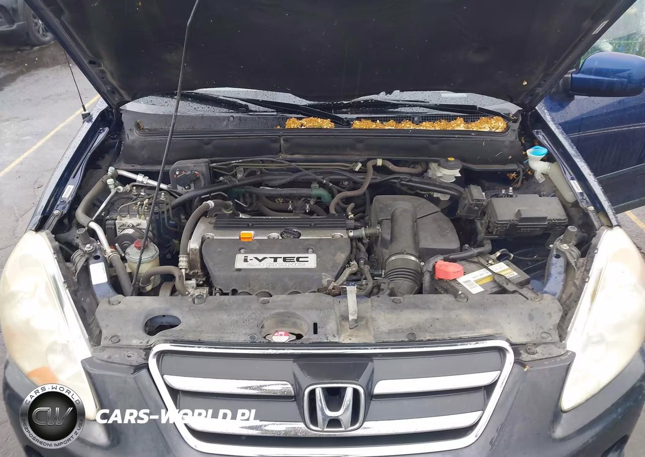 2005 Honda Cr-V Ex VIN:JHLRD78805C065308 - 10