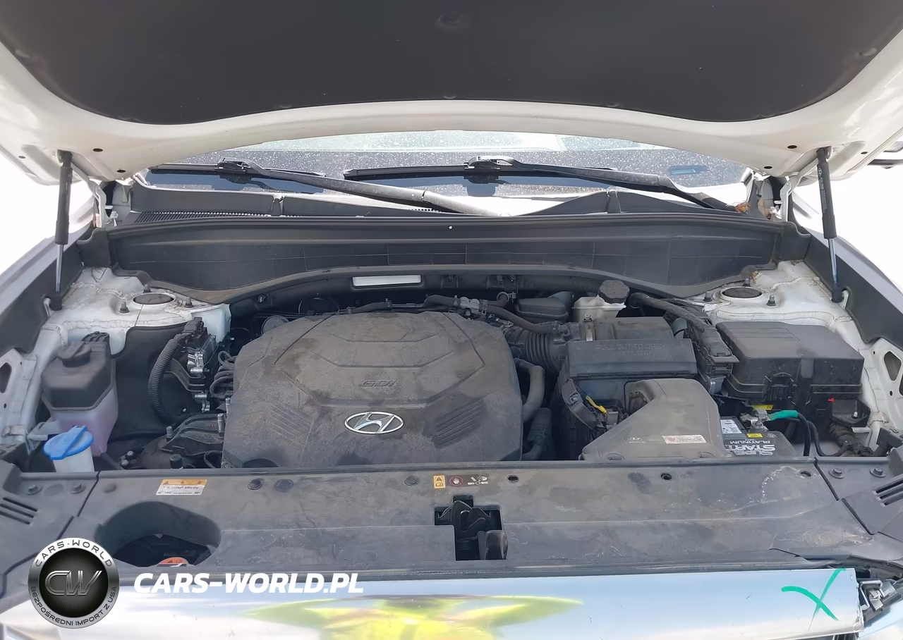 2023 Hyundai Palisade Calligraphy VIN:KM8R74GE4PU547864 - 10