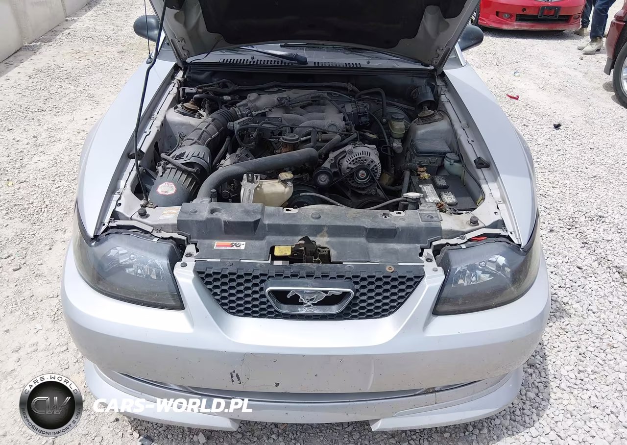 2000 Ford Mustang VIN:1FAFP4443YF172404 - 10