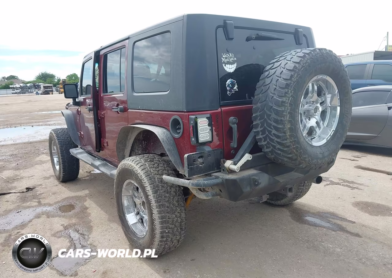 2009 Jeep Wrangler Unlimited X VIN:1J4GA391X9L705225 - 3