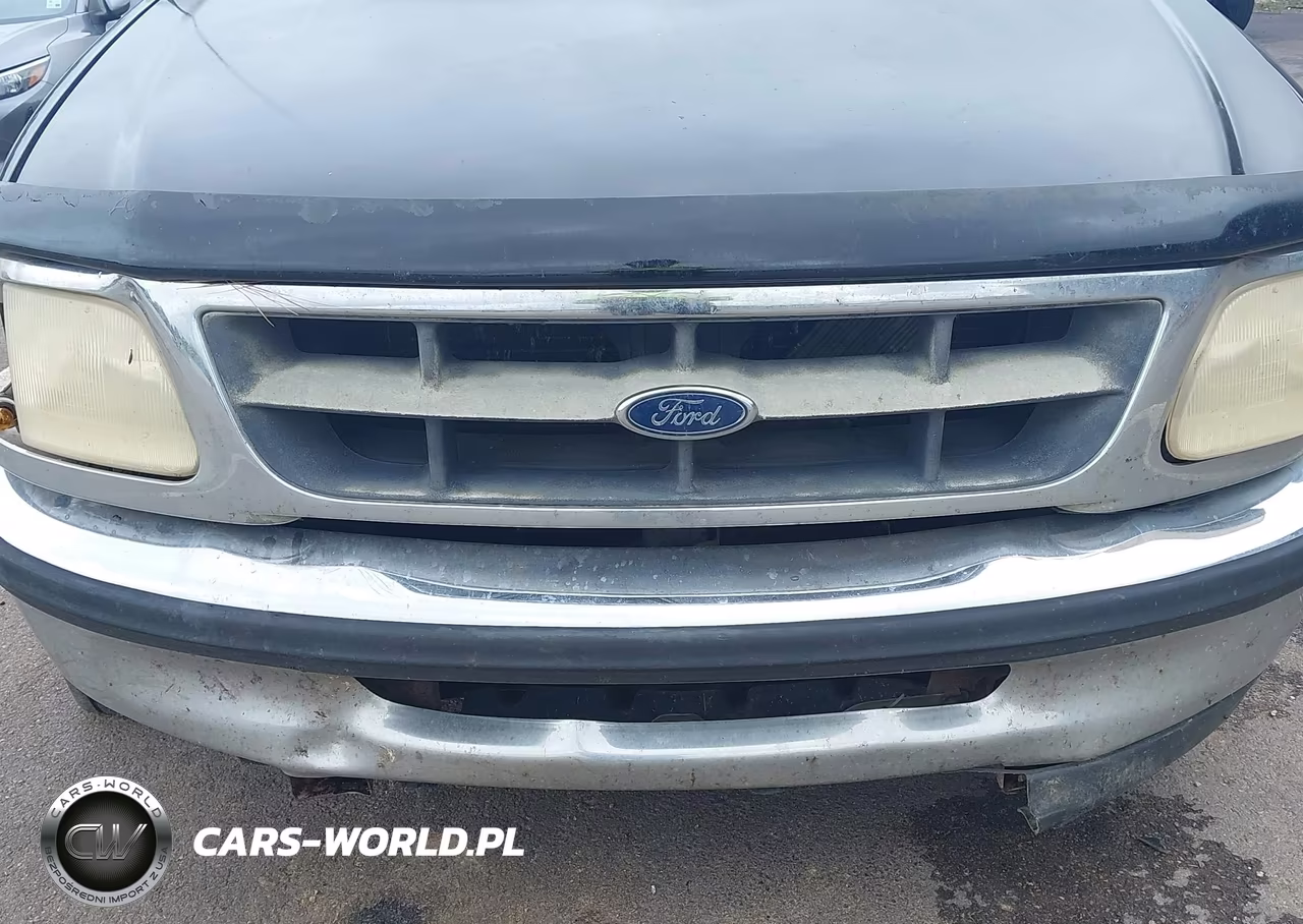 1998 Ford F-150 Lariat-Standard-Xl-Xlt VIN:1FTZX1769WNA65928 - 14