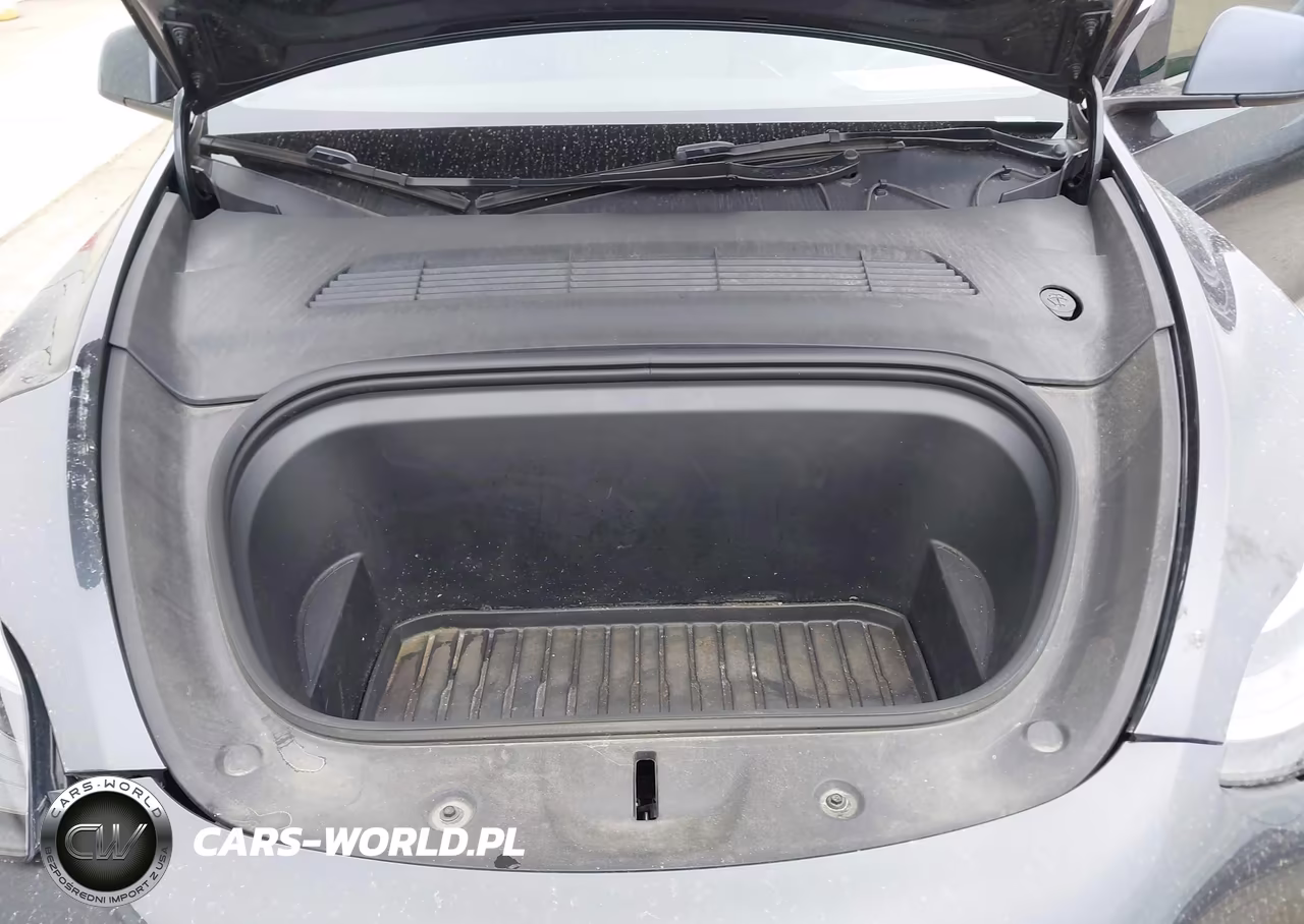 2024 Tesla Model Y Long Range Dual Motor All-Wheel Drive VIN:7SAYGDEE1RA228968 - 10
