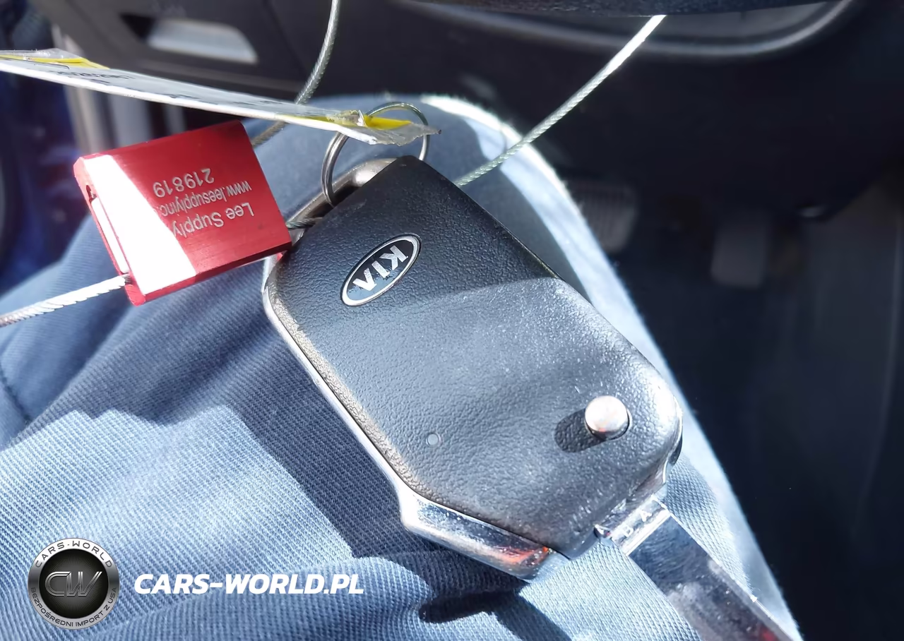 2019 Kia Forte Lxs VIN:3KPF24ADXKE029996 - 11