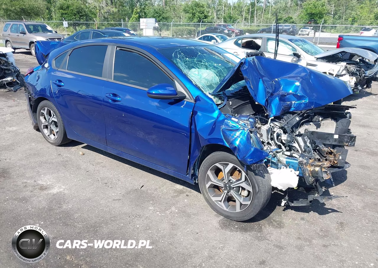 2019 Kia Forte Lxs VIN:3KPF24ADXKE029996 - 3