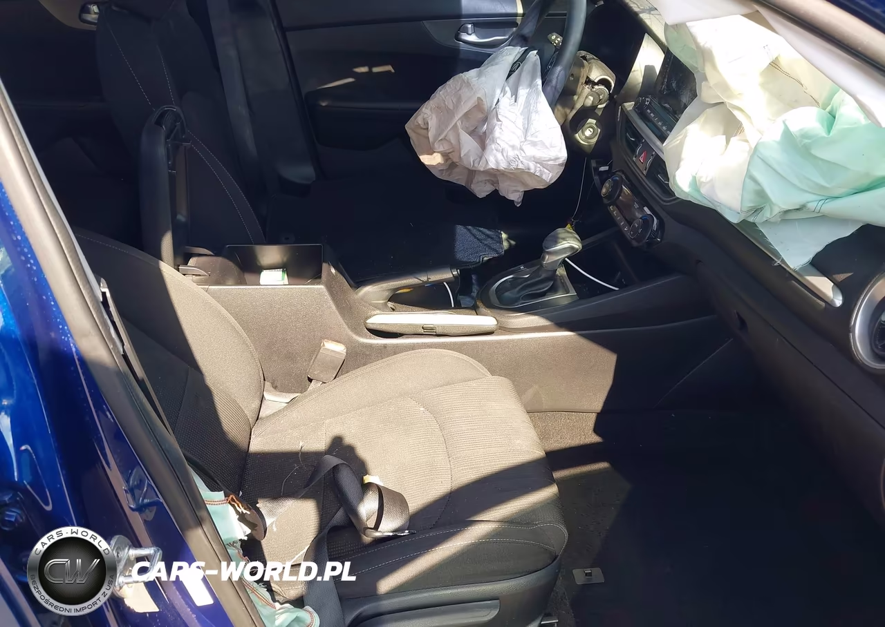 2019 Kia Forte Lxs VIN:3KPF24ADXKE029996 - 5