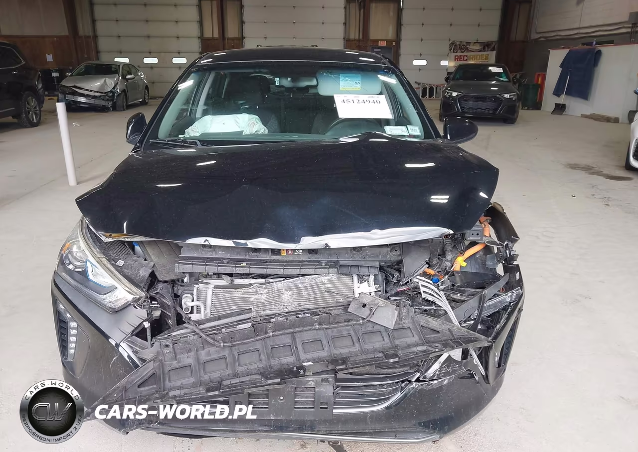 2019 Hyundai Ioniq Plug-In Hybrid VIN:KMHC65LD9KU164541 - 12
