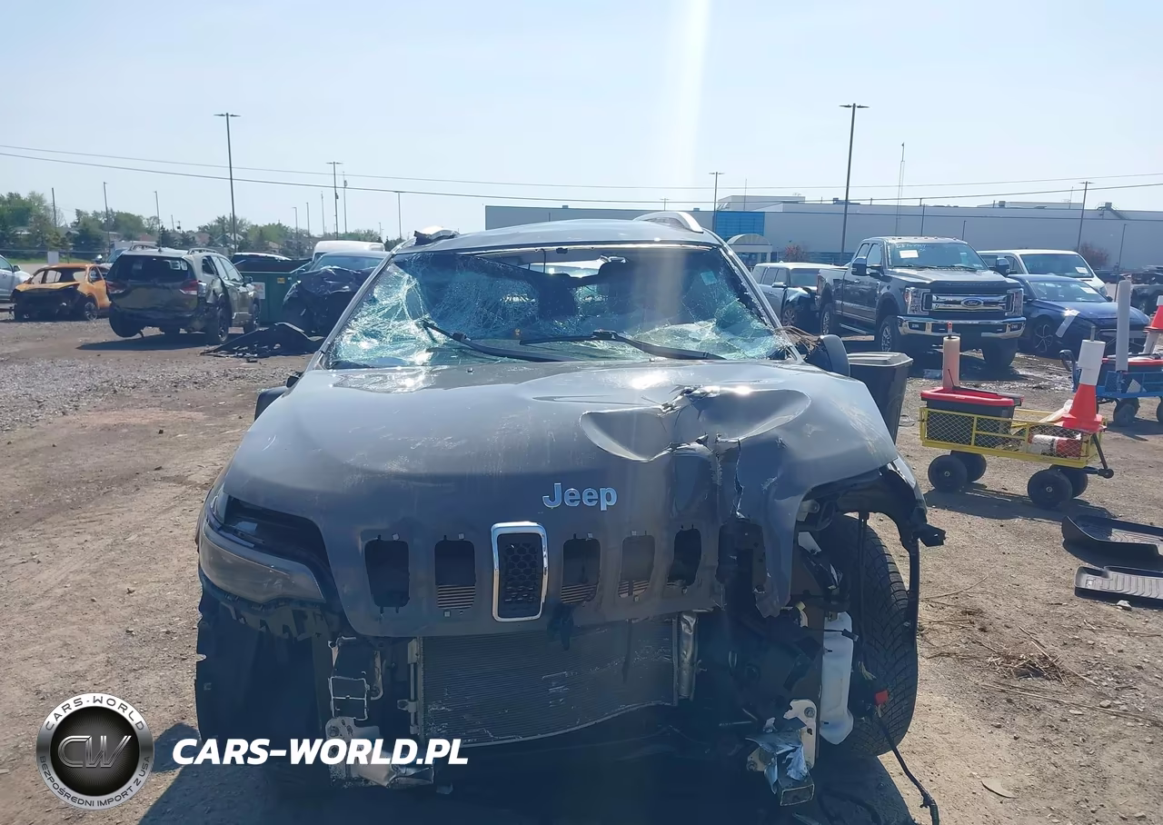 2020 Jeep Cherokee Limited 4X4 VIN:1C4PJMDX8LD520700 - 12