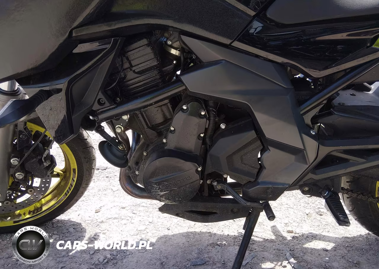 2022 Cf Moto 650Nk VIN:LCEPEVLB3N6000718 - 9