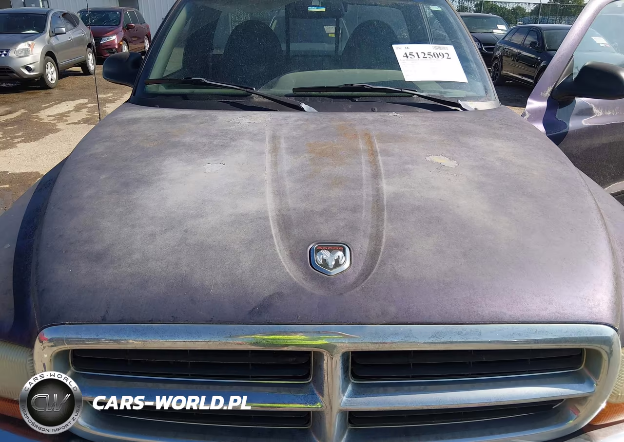1998 Dodge Dakota Slt-Sport VIN:1B7FL26X7WS611867 - 6