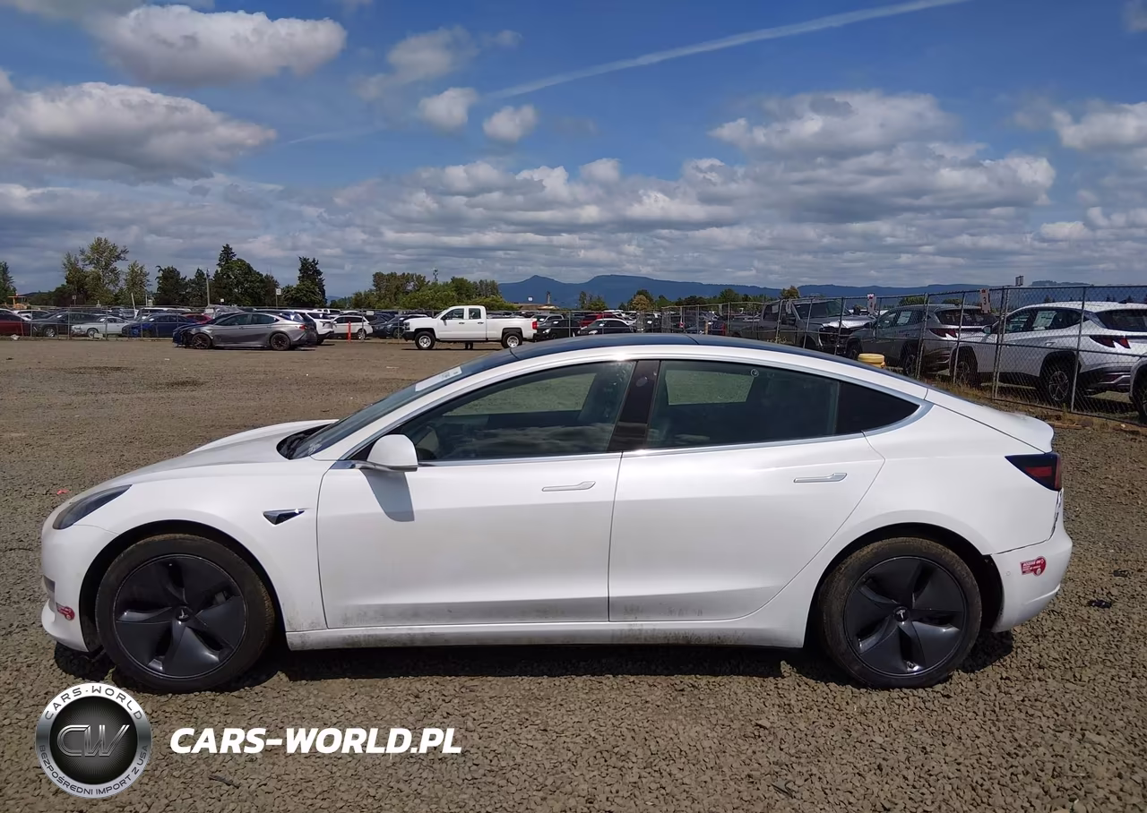 2019 Tesla Model 3 Long Range-Performance VIN:5YJ3E1EB5KF510976 - 13