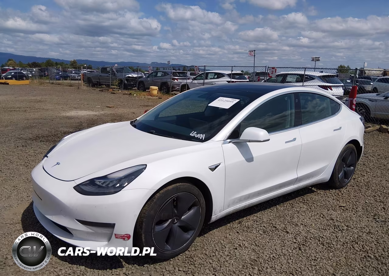 2019 Tesla Model 3 Long Range-Performance VIN:5YJ3E1EB5KF510976 - 2
