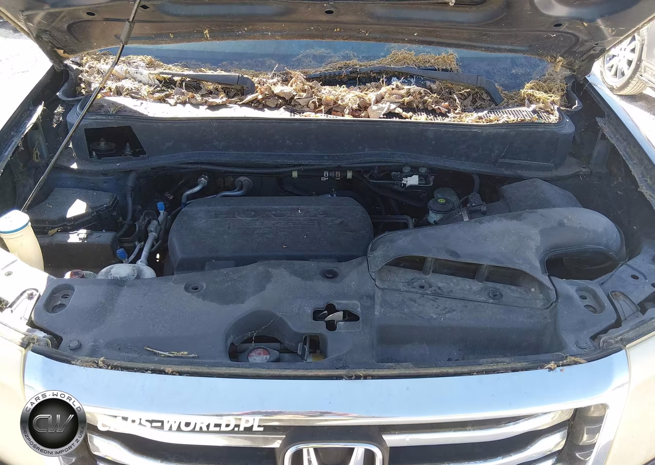 2012 Honda Pilot Ex-L VIN:5FNYF3H55CB014999 - 10