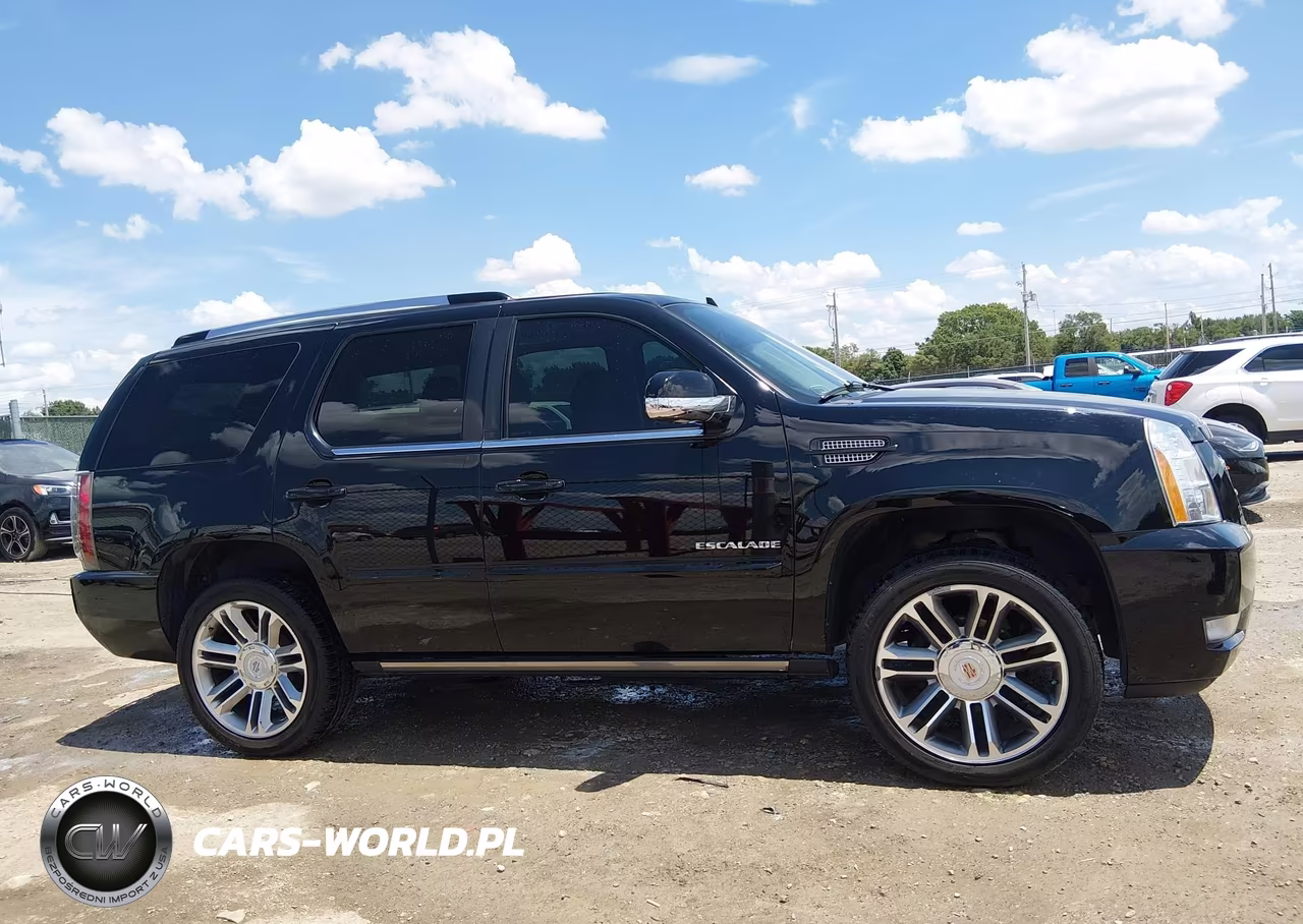 2013 Cadillac Escalade Premium VIN:1GYS4CEF5DR236411 - 13
