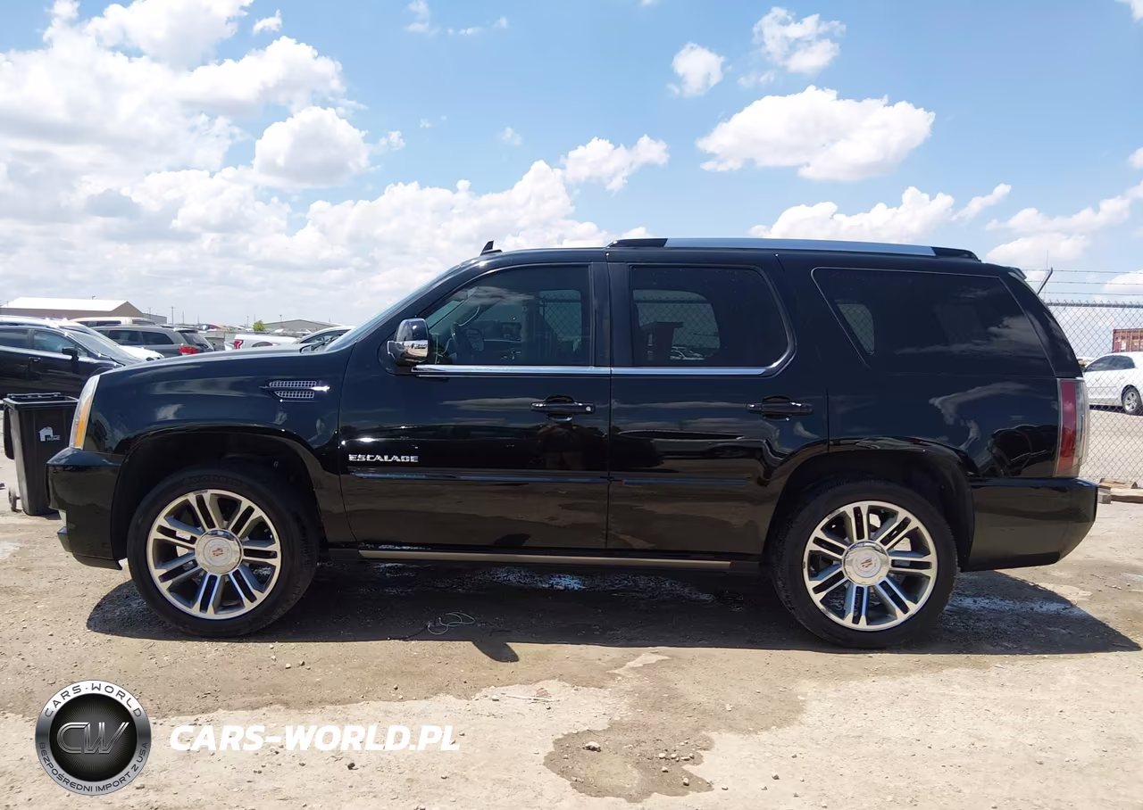 2013 Cadillac Escalade Premium VIN:1GYS4CEF5DR236411 - 14