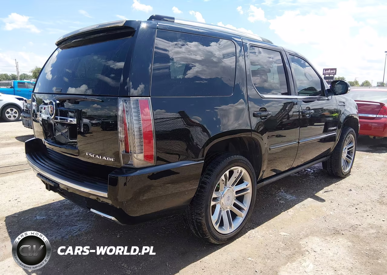 2013 Cadillac Escalade Premium VIN:1GYS4CEF5DR236411 - 4