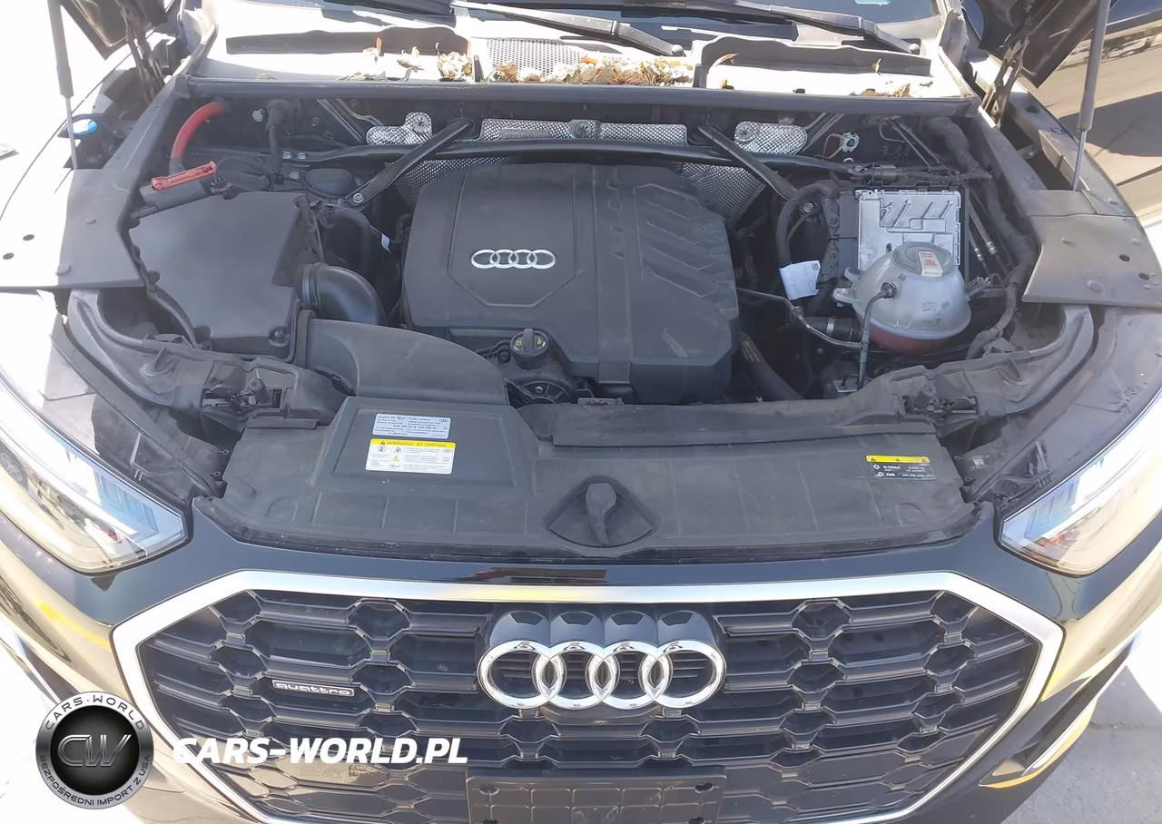 2023 Audi Q5 Premium Plus 45 Tfsi S Line Quattro VIN:WA1EAAFY7P2105147 - 10