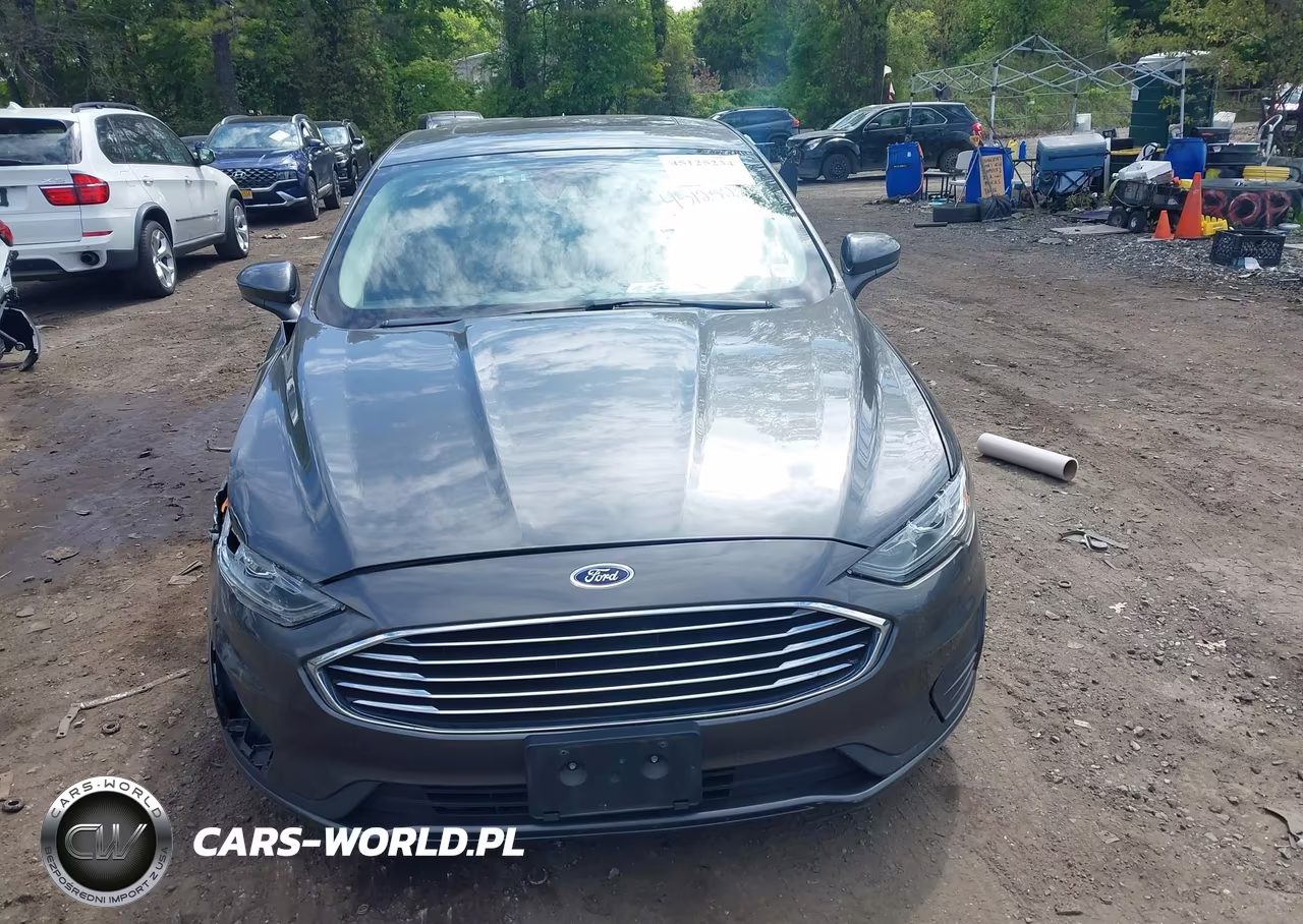 2019 Ford Fusion Hybrid Se VIN:3FA6P0LUXKR191942 - 12