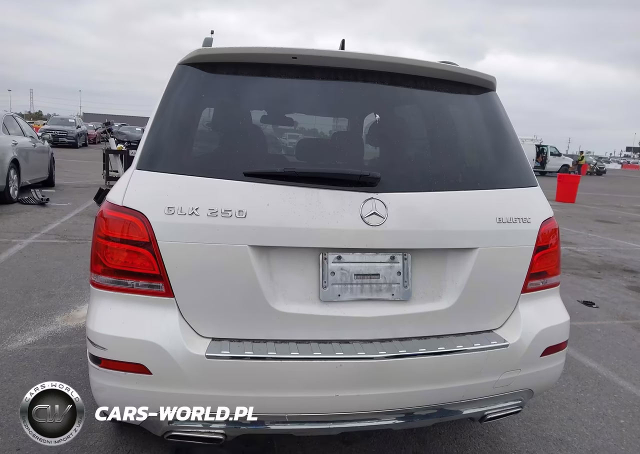 2013 Mercedes-Benz Glk 250 Bluetec 4Matic VIN:WDCGG0EB6DG129680 - 14