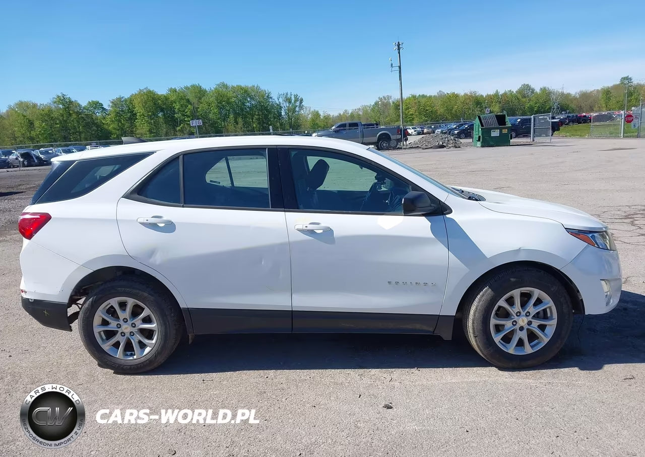 2019 Chevrolet Equinox Ls VIN:2GNAXSEV7K6157364 - 13