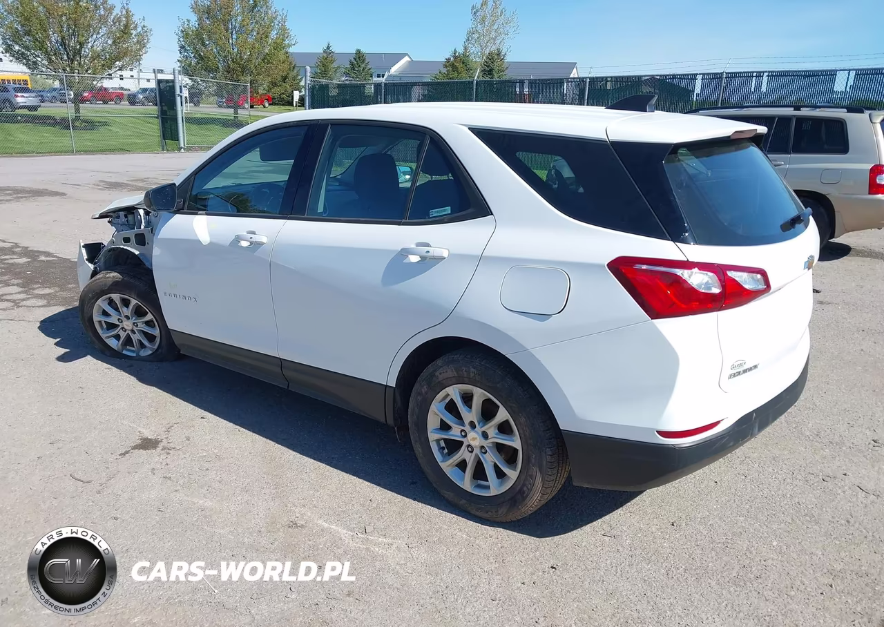 2019 Chevrolet Equinox Ls VIN:2GNAXSEV7K6157364 - 3