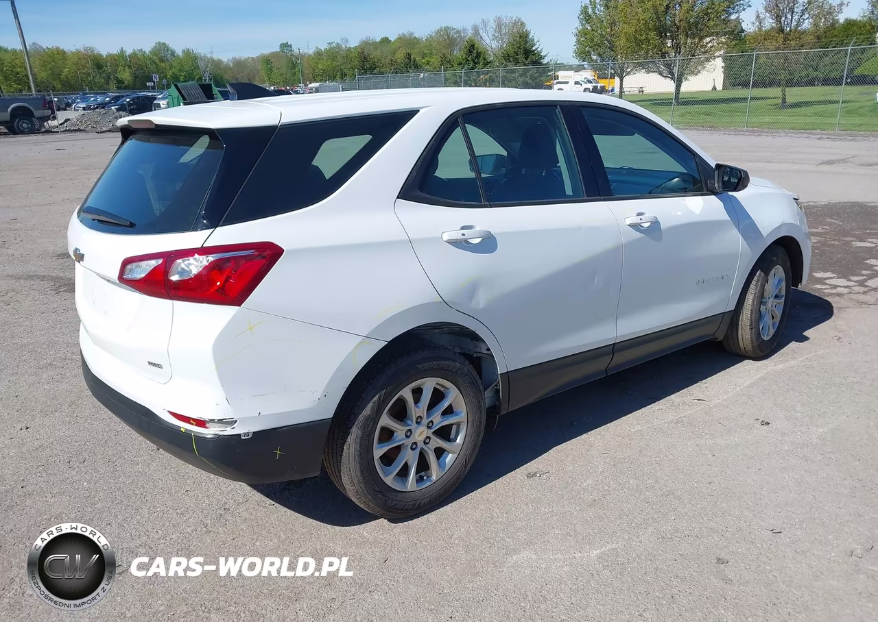 2019 Chevrolet Equinox Ls VIN:2GNAXSEV7K6157364 - 4
