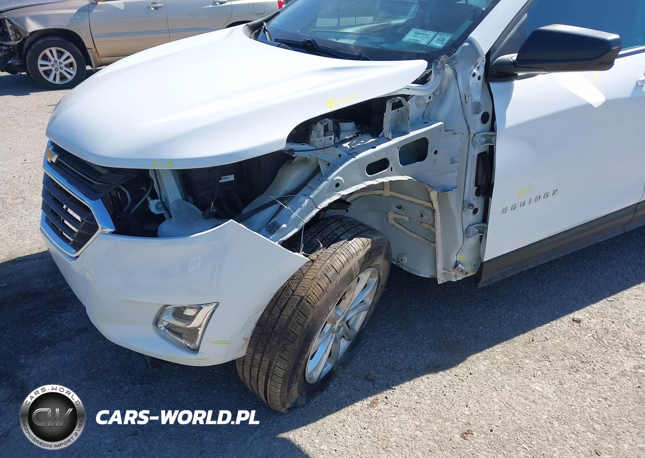 2019 Chevrolet Equinox Ls VIN:2GNAXSEV7K6157364 - 6