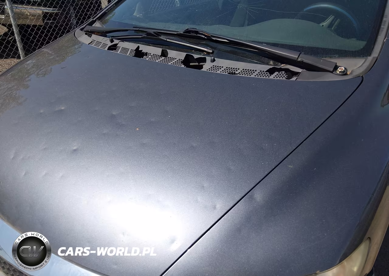 2011 Honda Civic Lx-S VIN:19XFA1F60BE009428 - 12