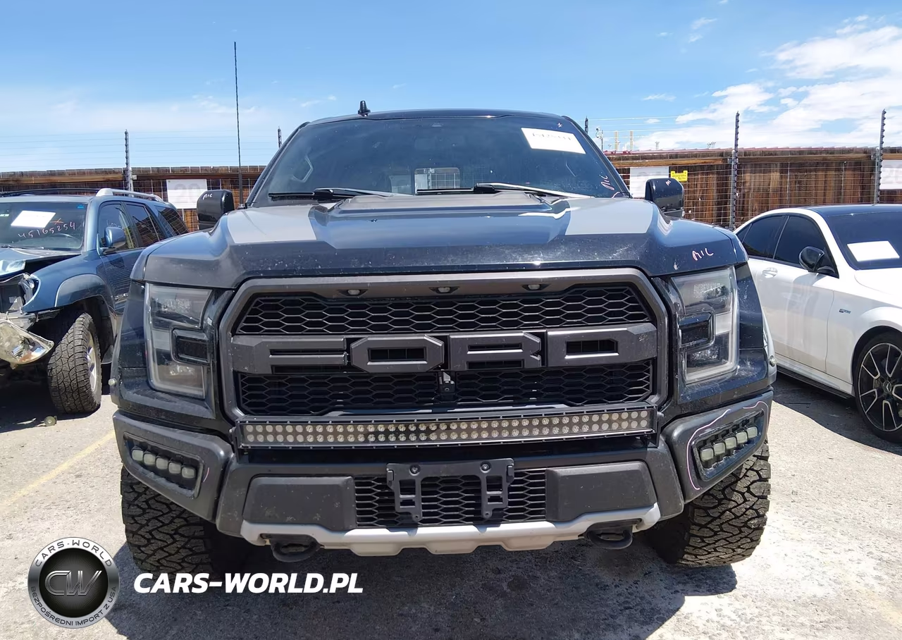 2020 Ford F-150 Raptor VIN:1FTFW1RG5LFB33949 - 13