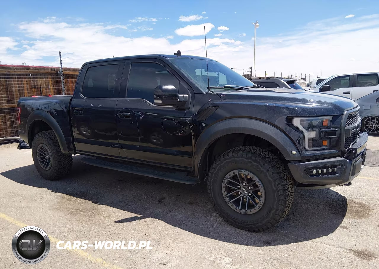 2020 Ford F-150 Raptor VIN:1FTFW1RG5LFB33949 - 14