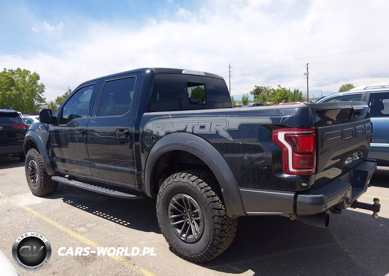 2020 Ford F-150 Raptor VIN:1FTFW1RG5LFB33949 - 15