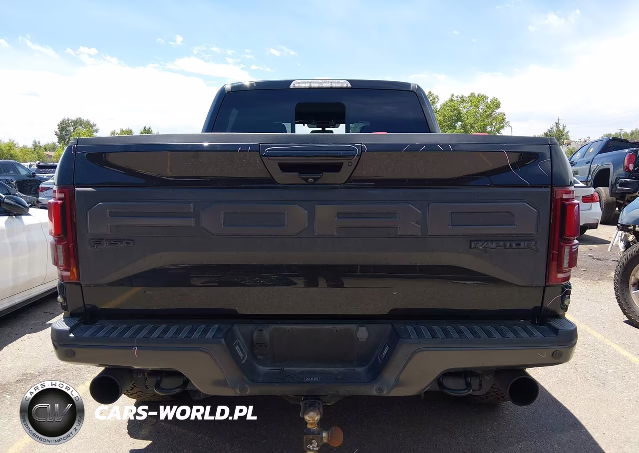 2020 Ford F-150 Raptor VIN:1FTFW1RG5LFB33949 - 17
