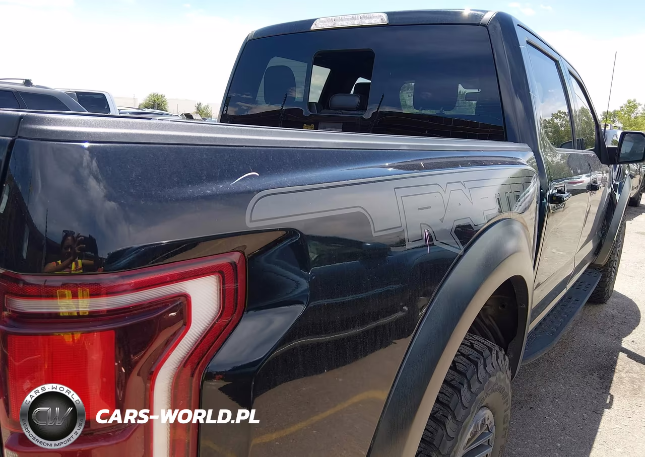 2020 Ford F-150 Raptor VIN:1FTFW1RG5LFB33949 - 19