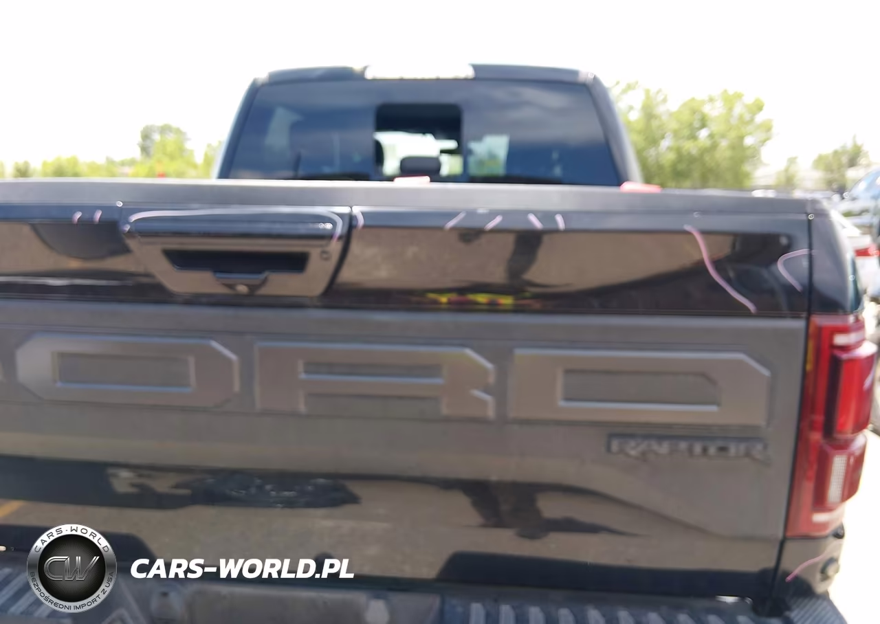 2020 Ford F-150 Raptor VIN:1FTFW1RG5LFB33949 - 20