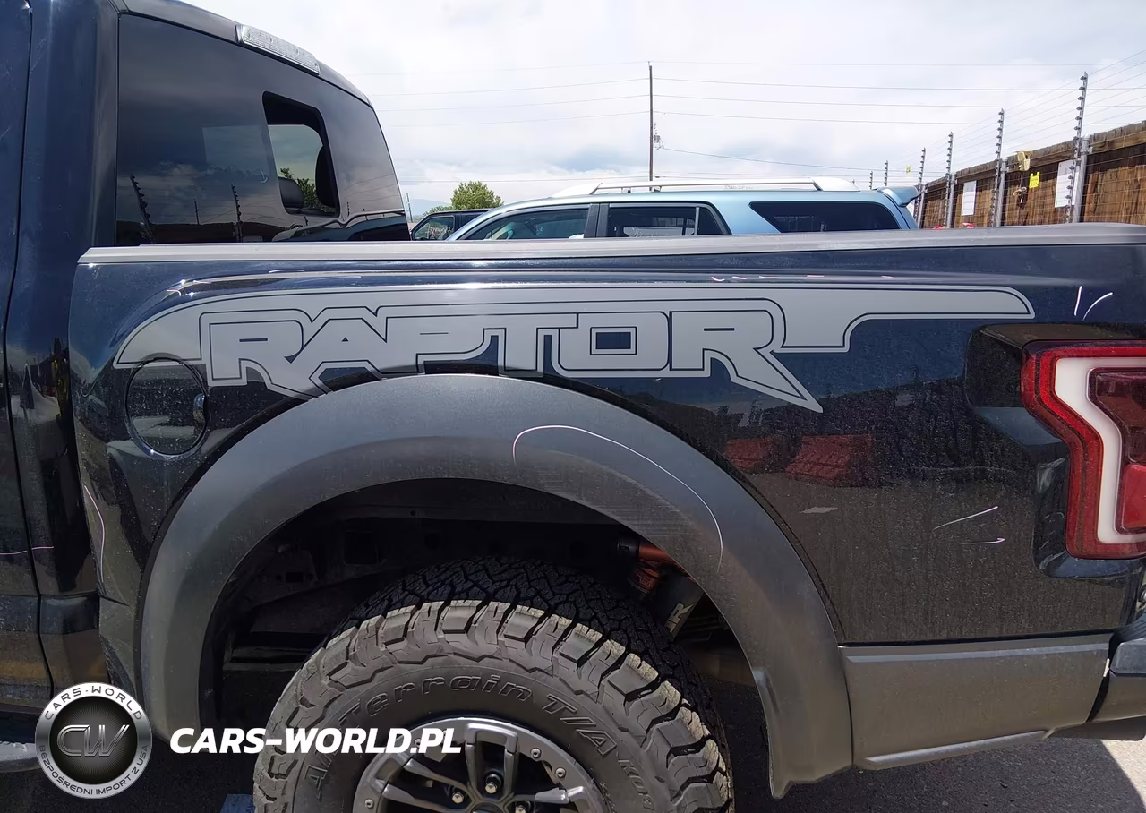 2020 Ford F-150 Raptor VIN:1FTFW1RG5LFB33949 - 21