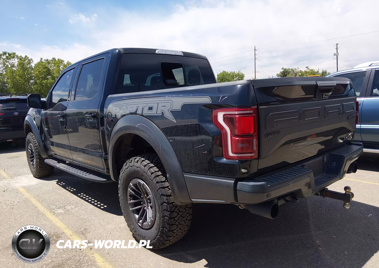 2020 Ford F-150 Raptor VIN:1FTFW1RG5LFB33949 - 3