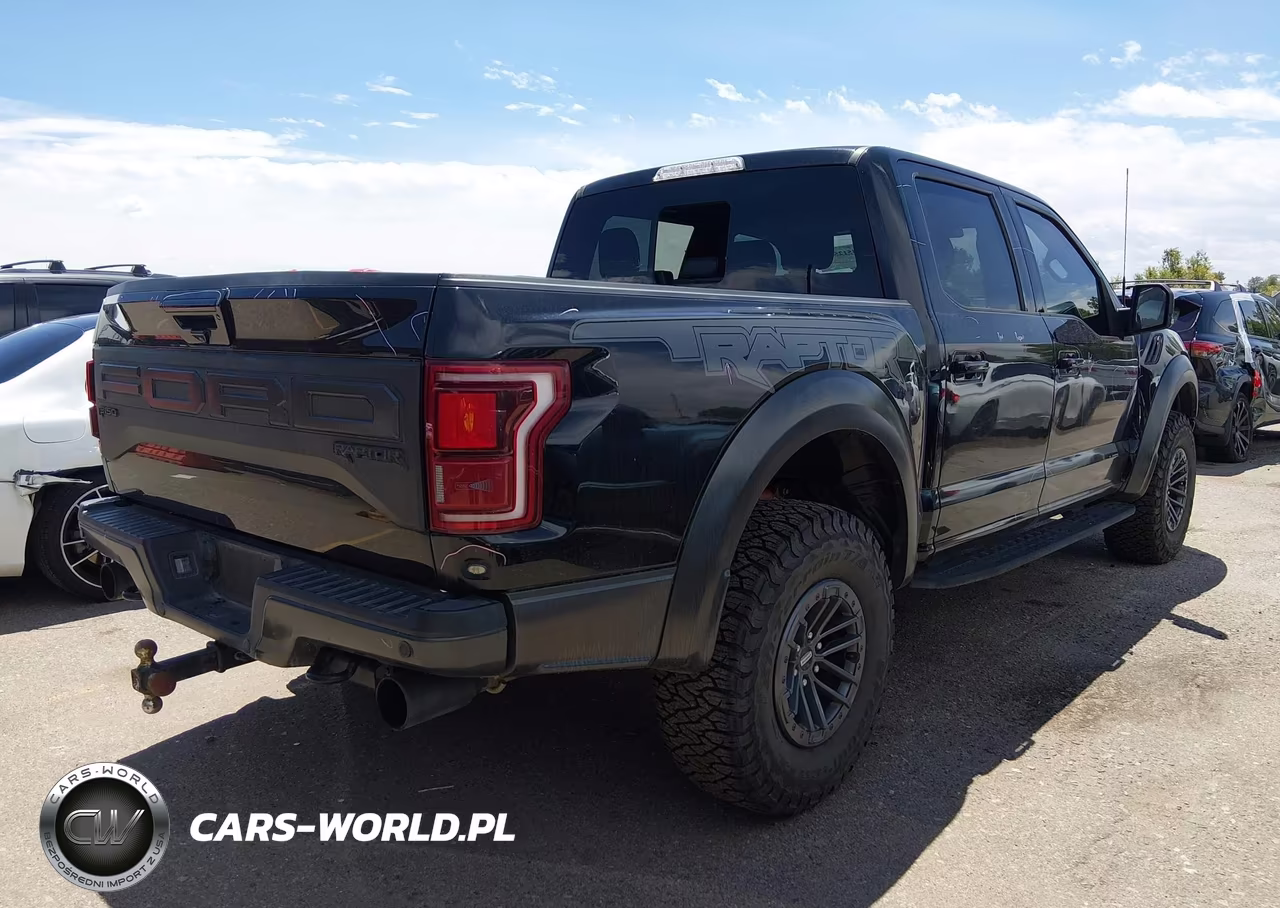 2020 Ford F-150 Raptor VIN:1FTFW1RG5LFB33949 - 4
