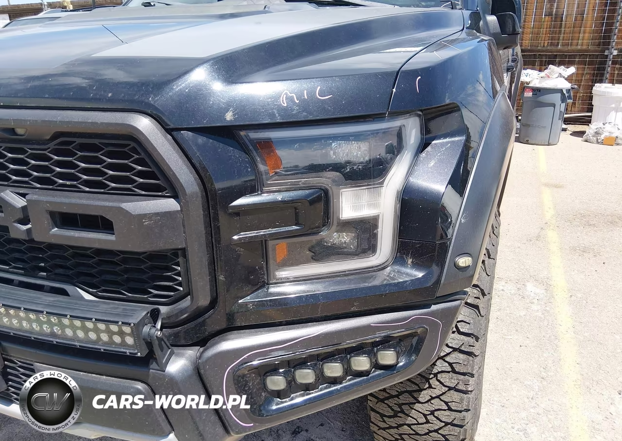 2020 Ford F-150 Raptor VIN:1FTFW1RG5LFB33949 - 6