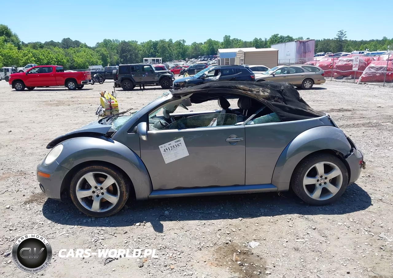 2006 Volkswagen New Beetle 2.5 VIN:3VWSF31Y66M301064 - 13