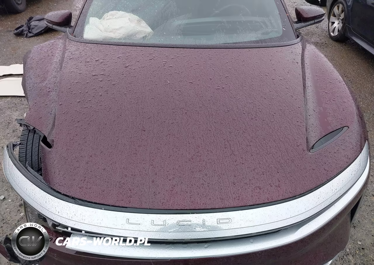 2024 Lucid Air Pure VIN:50EA1PGA3RA005866 - 10
