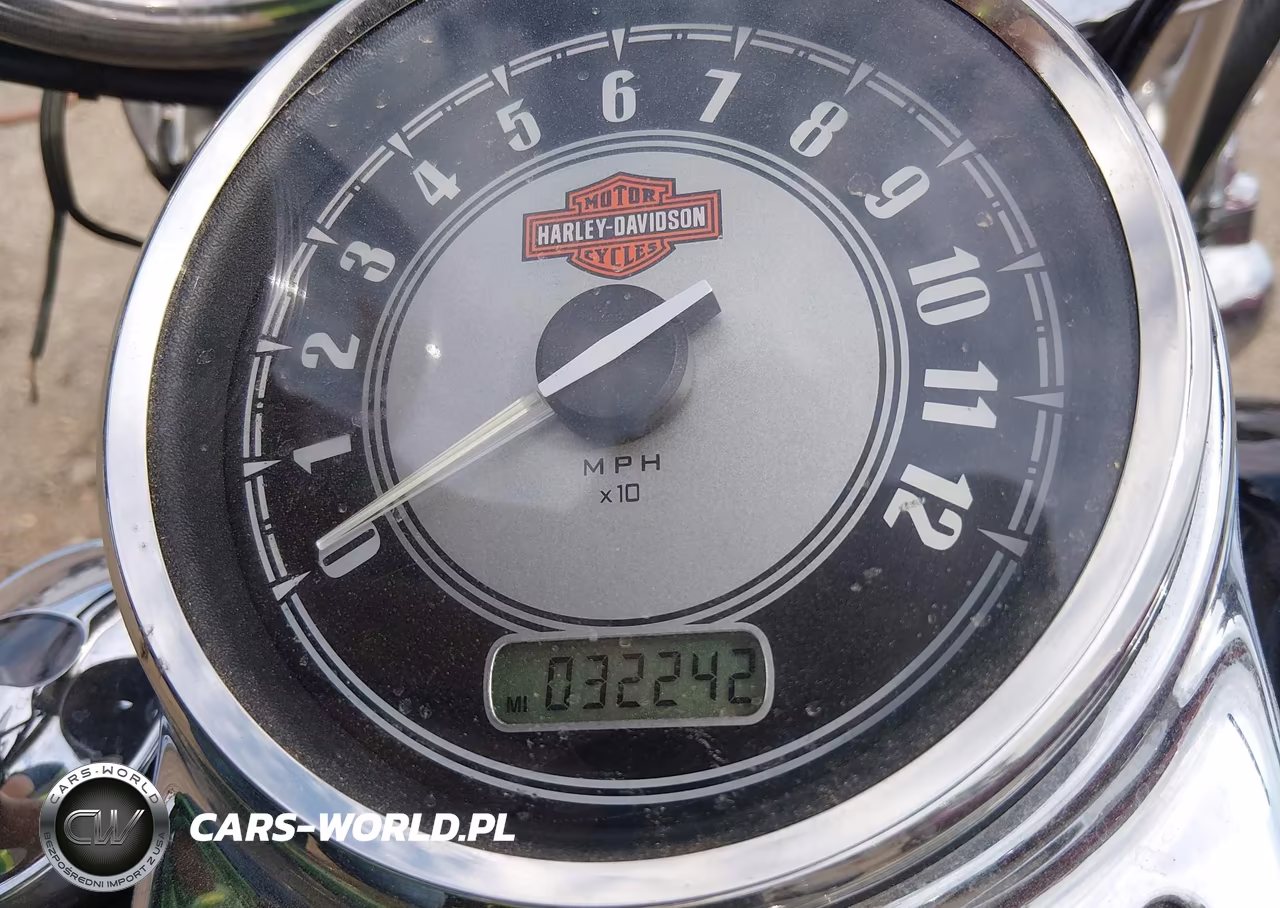 2009 Harley-Davidson Flstc VIN:1HD1BW5119Y039003 - 7