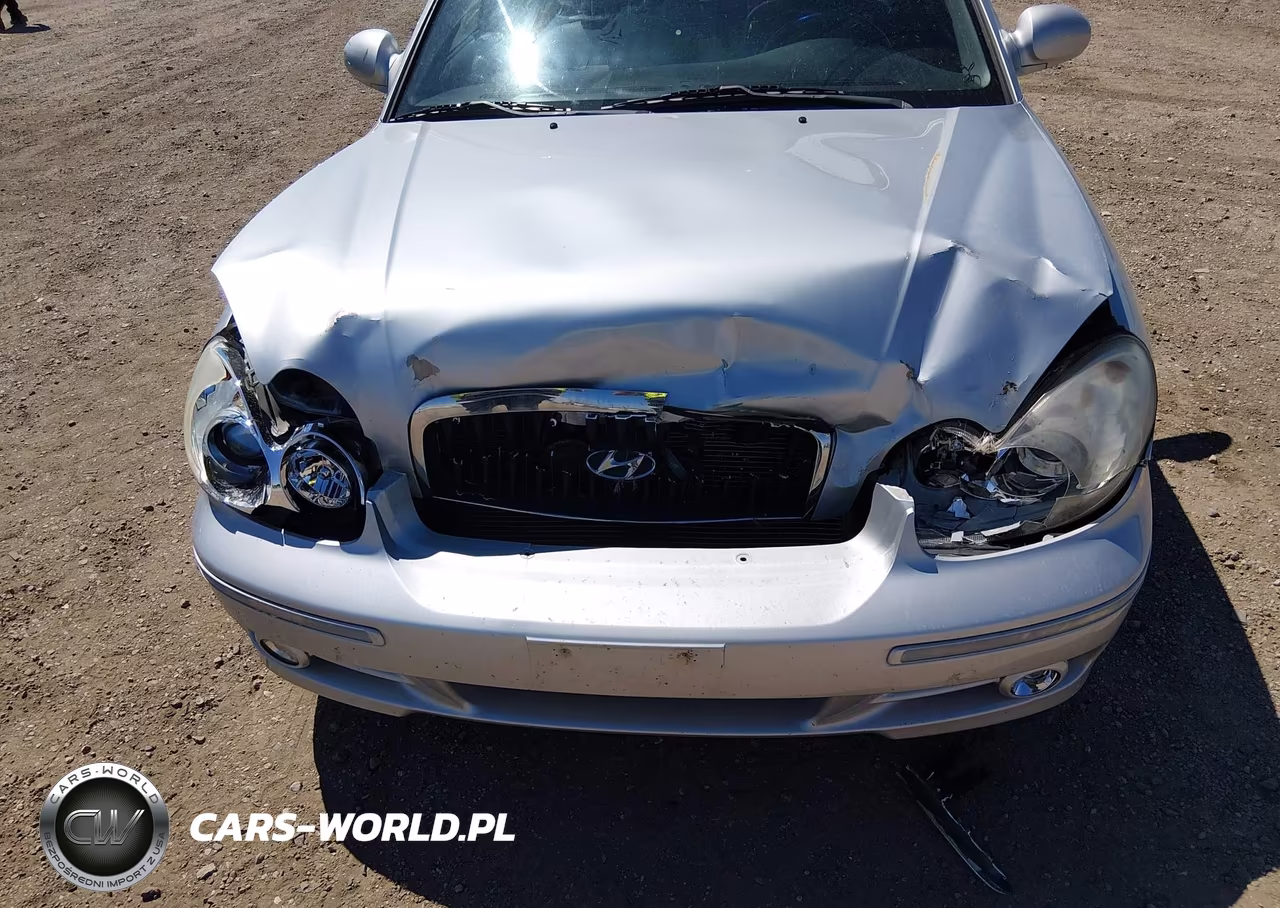 2003 Hyundai Sonata Gls-Lx VIN:KMHWF35H23A752690 - 6