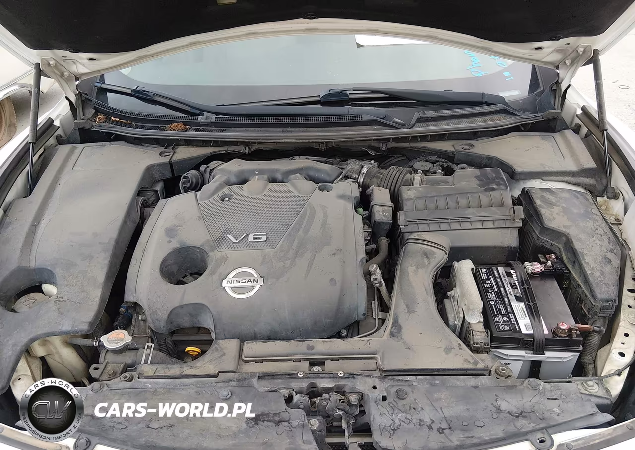 2013 Nissan Maxima 3.5 S VIN:1N4AA5AP5DC825973 - 10