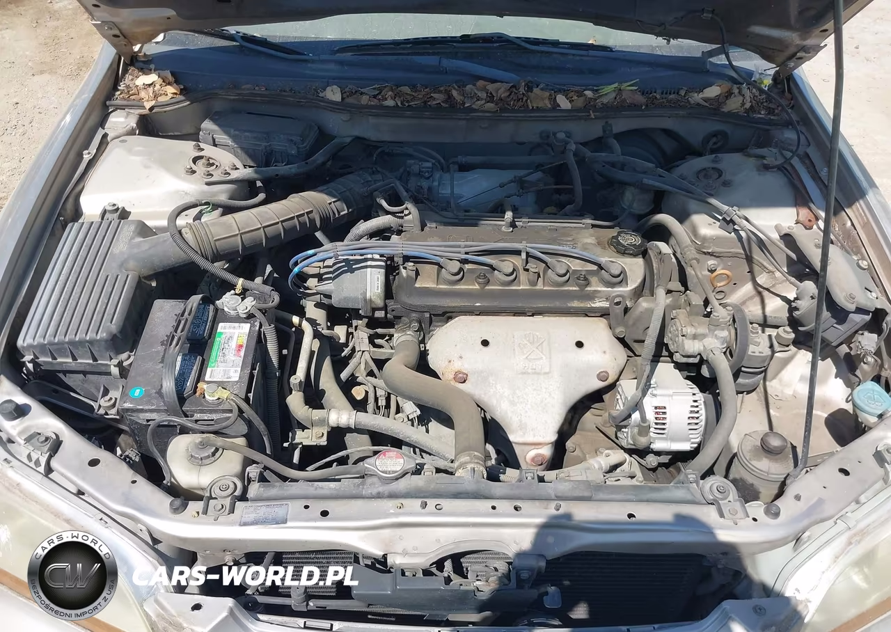 1999 Honda Accord Lx VIN:JHMCG5644XC034434 - 10