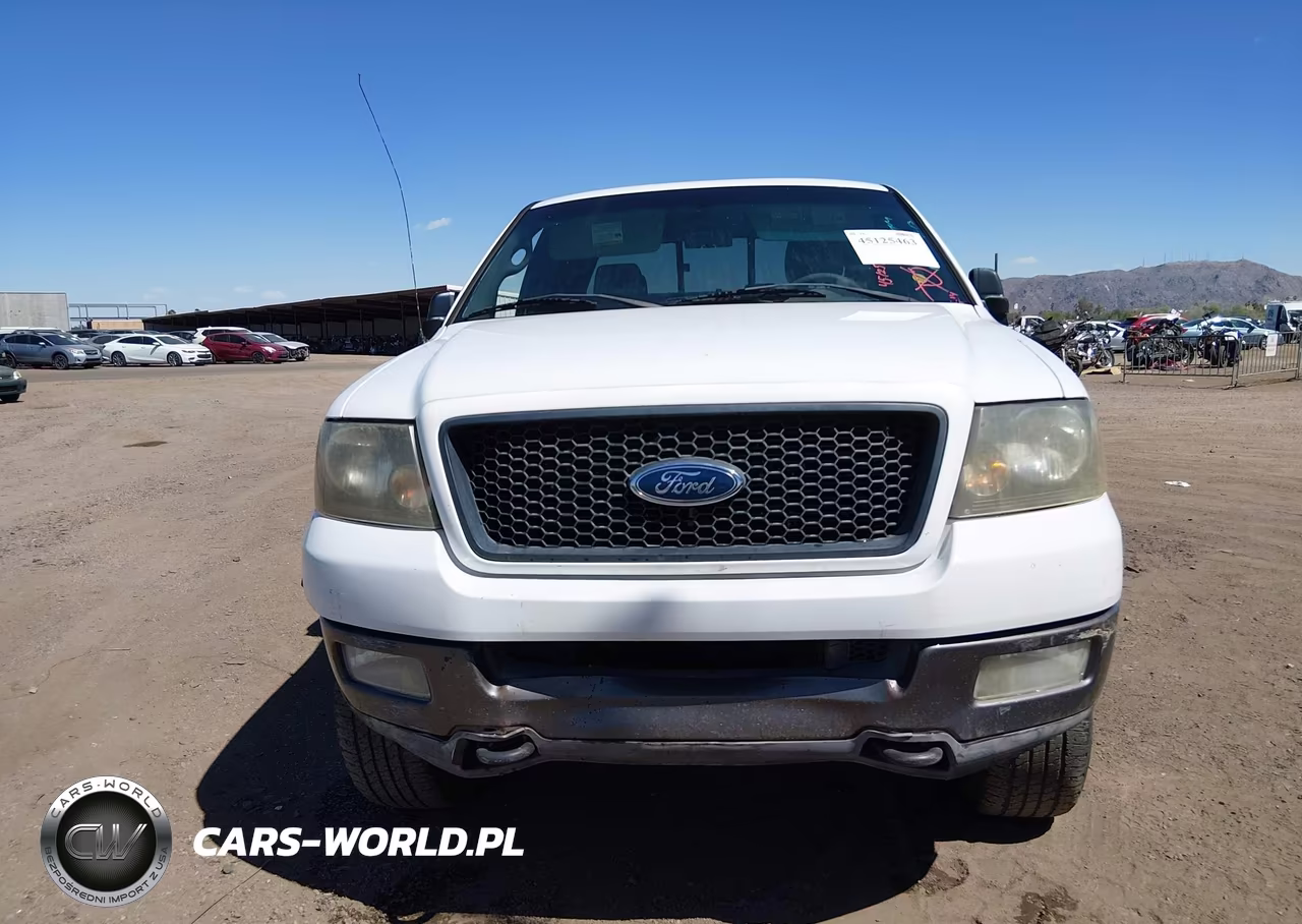 2004 Ford F-150 Fx4-Lariat-Xl-Xlt VIN:1FTPX14554NA01031 - 6