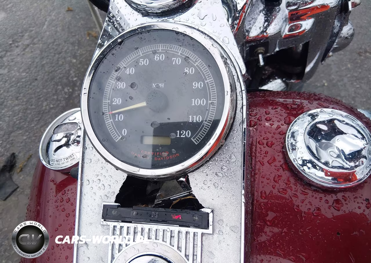 2001 Harley-Davidson Flhrci VIN:1HD1FRW131Y601623 - 7