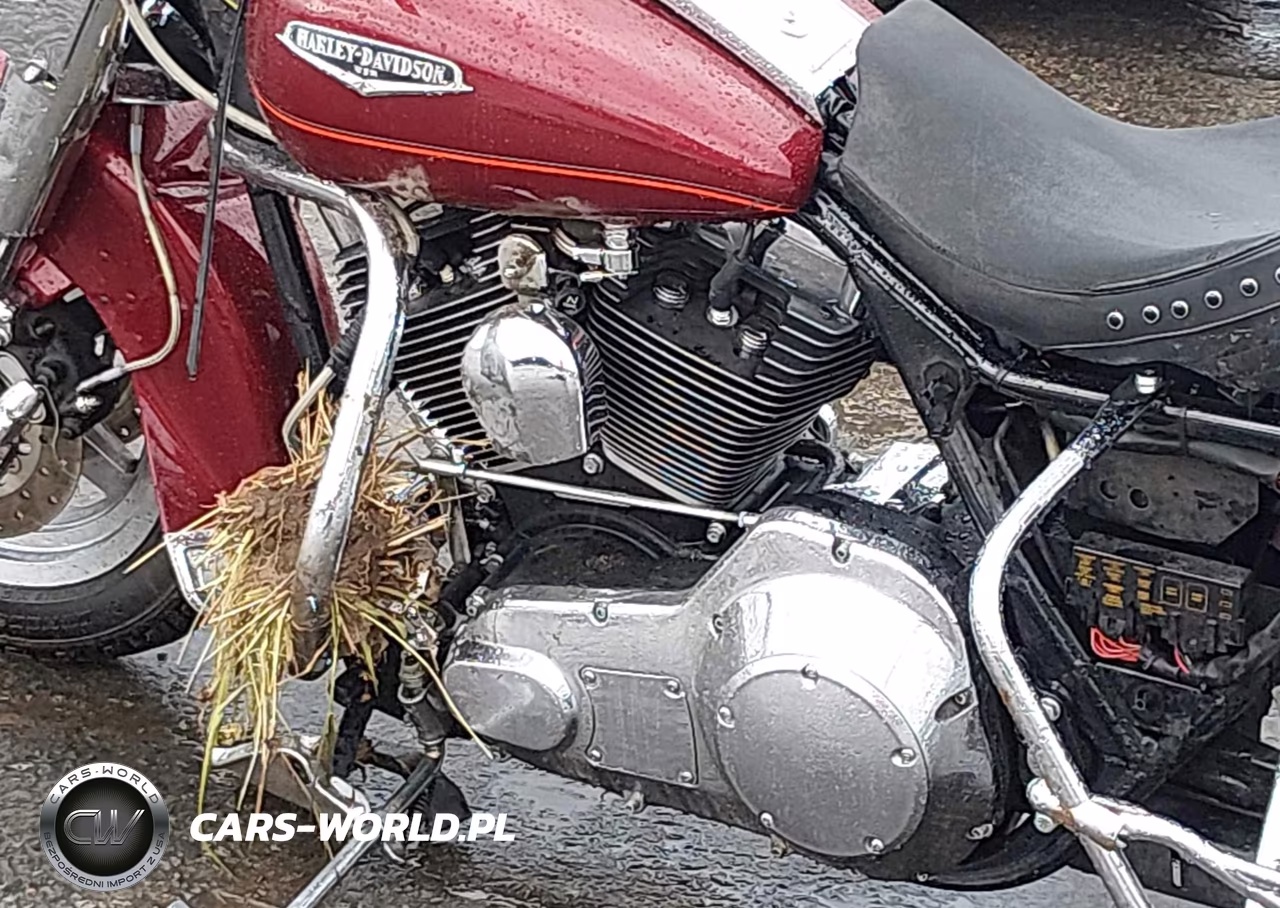 2001 Harley-Davidson Flhrci VIN:1HD1FRW131Y601623 - 9