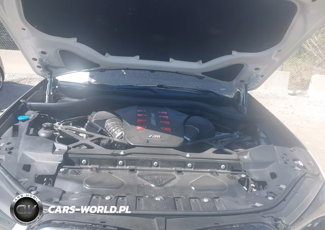 2025 BMW X6 M VIN:5YM23ET00S9000711 - 10